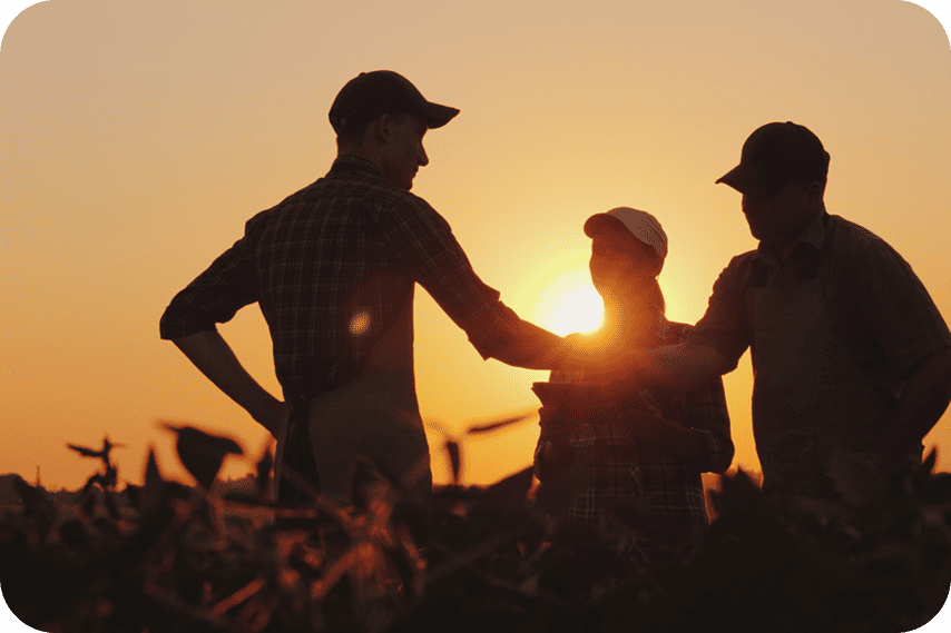 Design sem nome 2 (1)